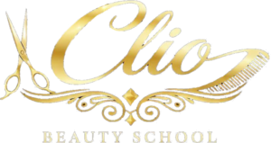 logo clio2